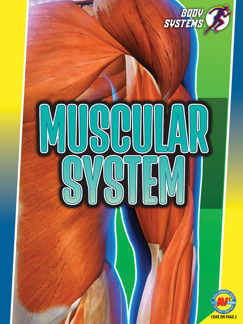 Muscular System - Simon Rose