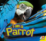 Parrot - Samantha Nugent