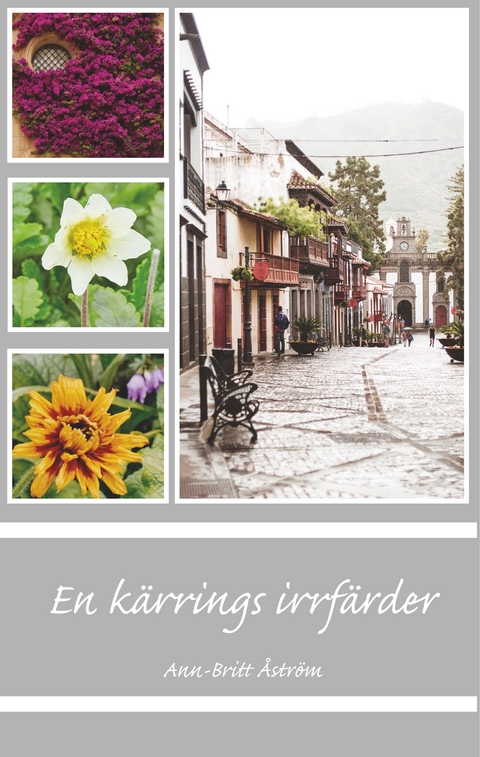 En k&auml;rrings irrf&auml;rder - Ann-Britt &Aring;str&ouml;m