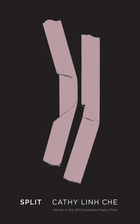 Split - Cathy Linh Che