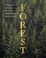 Forest -  Matt Collins
