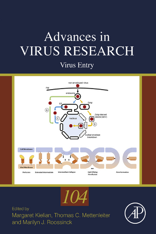 Virus Entry
