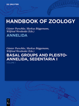 Annelida Basal Groups and Pleistoannelida, Sedentaria I - 