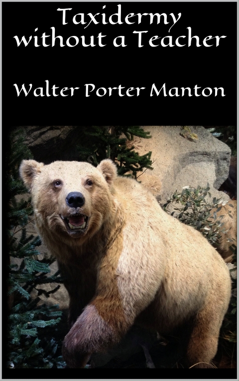 Taxidermy without a Teacher - Walter Porter Manton
