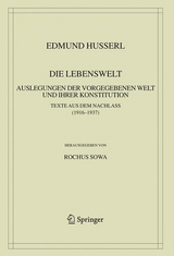 Die Lebenswelt -  Edmund Husserl