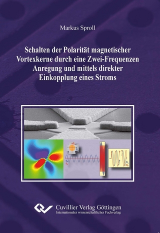 Schalten der Polarität magnetischer Vortexkerne durch eine Zwei-Frequenzen Anregung und mittels direkter Einkopplung eines Stroms