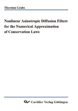 Nonlinear anisotropic diffusion filters for the numerical approximation of conservation laws
