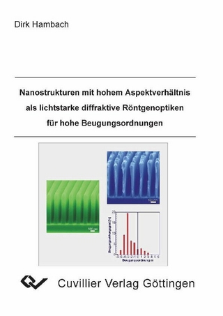 Nanostrukturen mit hohem Aspektverhältnis als lichtstarke diffraktive Röntgenoptiken für hohe Beugungsordnungen