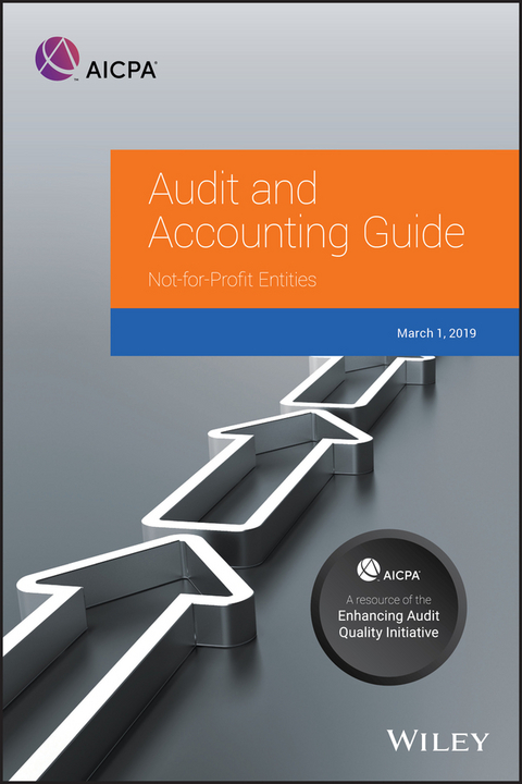 Auditing and Accounting Guide -  Aicpa