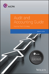 Auditing and Accounting Guide -  Aicpa