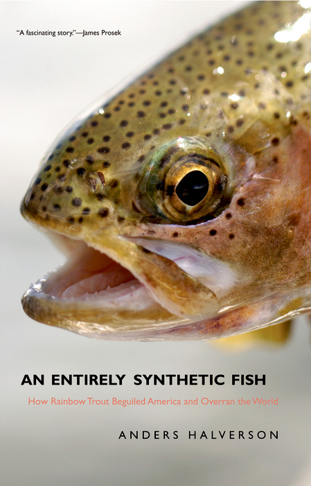 Entirely Synthetic Fish -  Anders Halverson