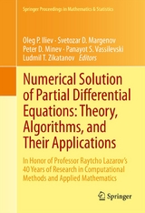 Numerical Solution of Partial Differential Equations: Theory, Algorithms, and Their Applications - 