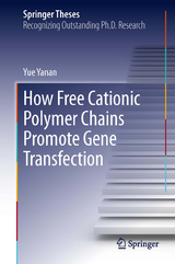 How Free Cationic Polymer Chains Promote Gene Transfection - Yue Yanan
