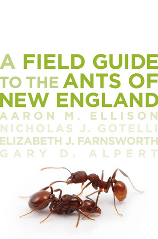 Field Guide to the Ants of New England