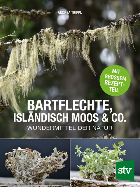 Bartflechte, Isl&auml;ndisch Moos & Co. - Andrea Trippl