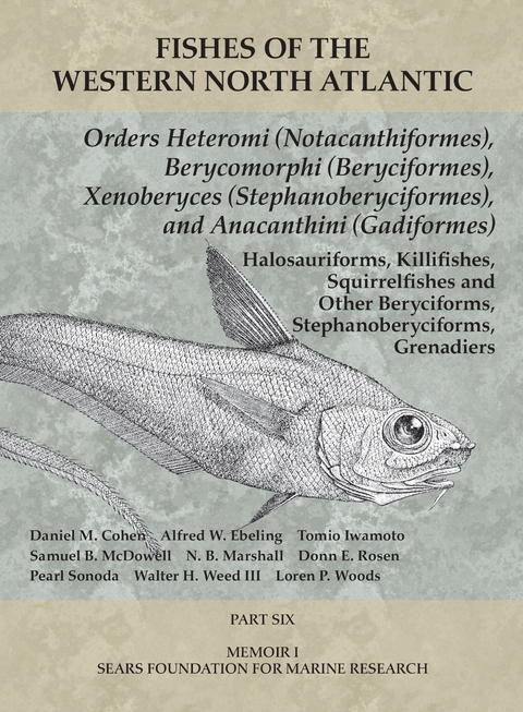 Orders Heteromi (Notacanthiformes), Berycomorphi (Beryciformes), Xenoberyces (Stephanoberyciformes), Anacanthini (Gadiformes) -  Ebeling Alfred W Ebeling,  Cohen Daniel M. Cohen,  Rosen Donn E Rosen,  Woods Loren P Woods,  Marshall N. B. Marshall,  Sonoda Pearl Sonoda,  McDowell Samuel B McDowell,  Iwamoto Tomio Iwamoto,  Weed Walter H Weed