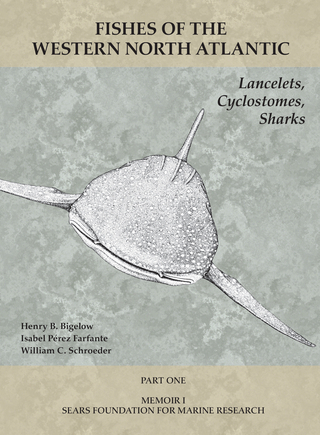 Lancelets, Cyclostomes, Sharks
