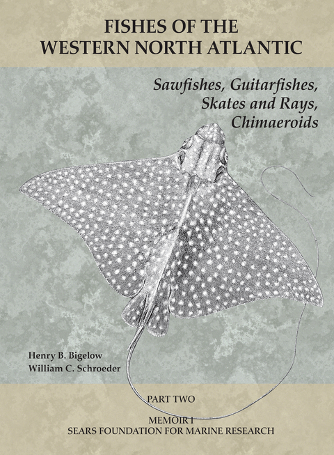 Sawfishes, Guitarfishes, Skates and Rays, Chimaeroids -  Bigelow Henry B. Bigelow,  Schroeder William C. Schroeder