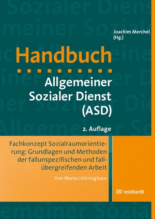 Fachkonzept Sozialraumorientierung: Grundlagen und Methoden der fallunspezifischen und fallübergreifenden Arbeit