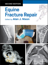 Equine Fracture Repair - 