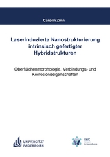 Laserinduzierte Nanostrukturierung intrinsisch gefertigter Hybridstrukturen - Carolin Zinn