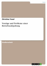 Vorz&uuml;ge und Probleme einer Betriebsaufspaltung - Christina Yosul