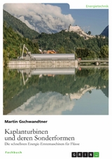 Kaplanturbinen und deren Sonderformen -  Martin Gschwandtner