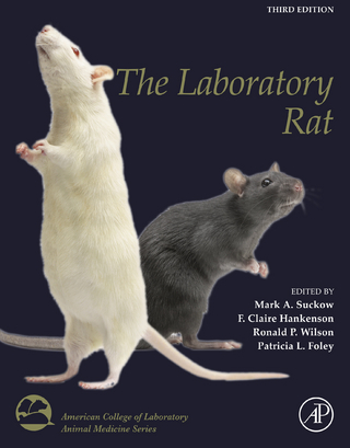 Laboratory Rat