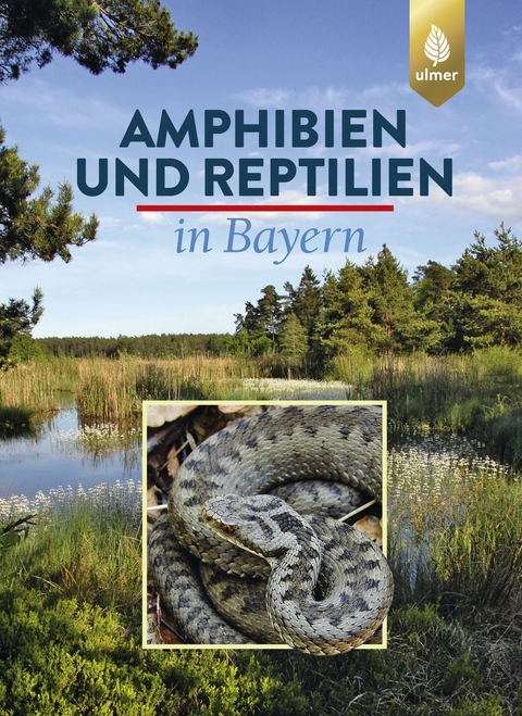 Amphibien und Reptilien in Bayern - Eberhard Andr&auml;, Otto A&szlig;mann, Thomas D&uuml;rst, G&uuml;nter Hansbauer, Andreas Zahn