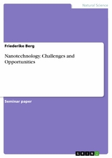 Nanotechnology. Challenges and Opportunities - Friederike Berg