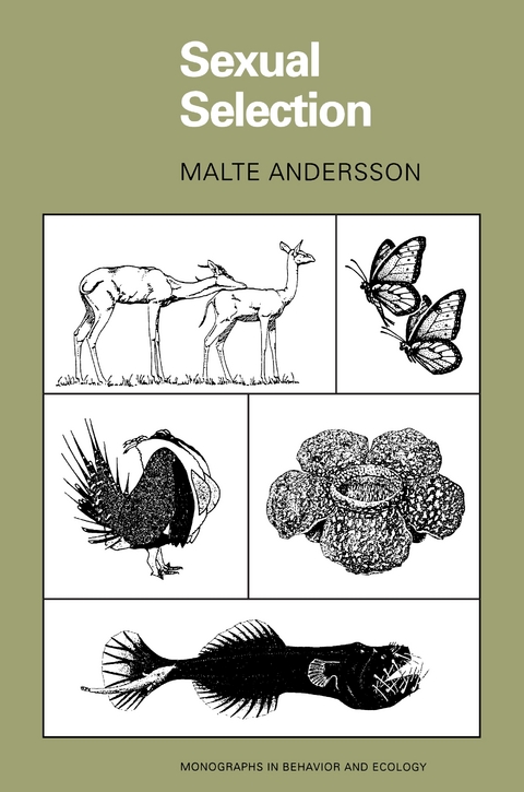 Sexual Selection -  Malte Andersson