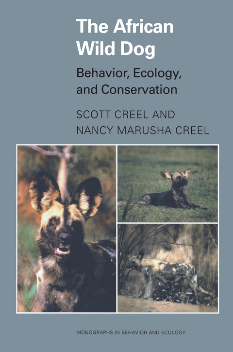 The African Wild Dog - Scott Creel, Nancy Marusha Creel