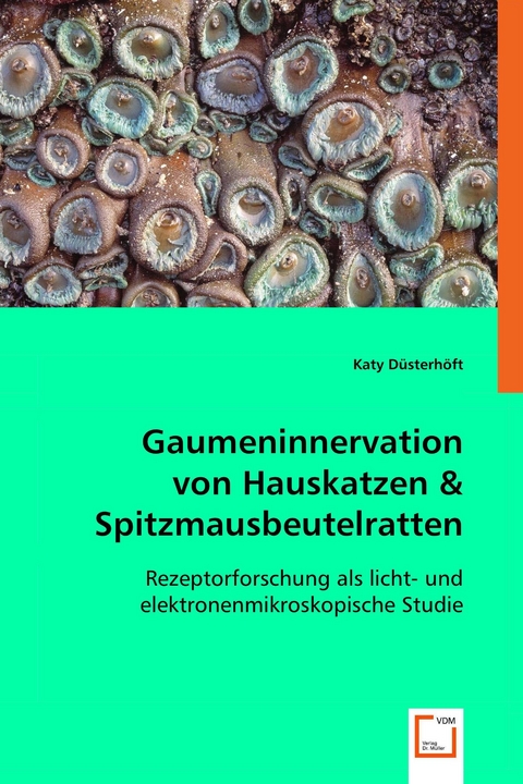 Gaumeninnervation von Hauskatzen& Spitzmausbeutelratten -  Dr.Katy D&uuml;sterh&ouml;ft