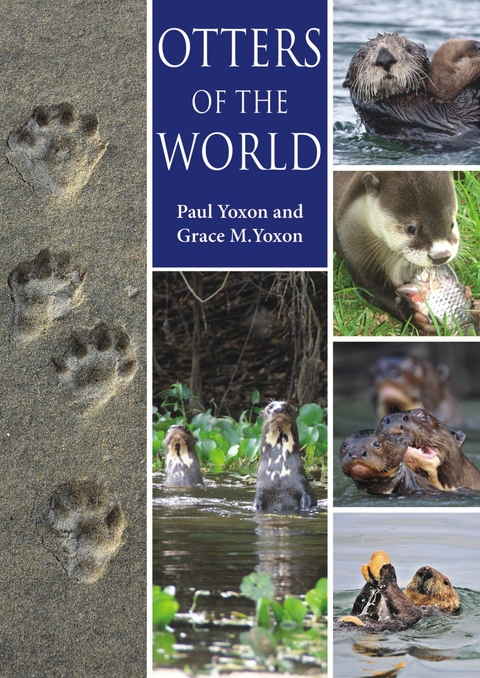 Otters of the World - Paul Yoxon