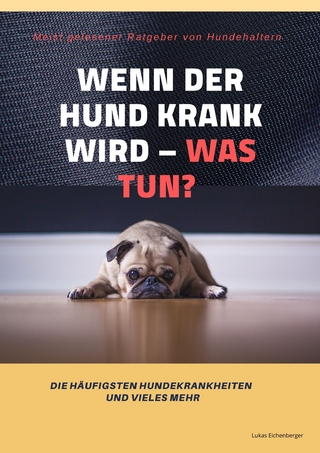 Wenn der Hund krank wird - was tun?