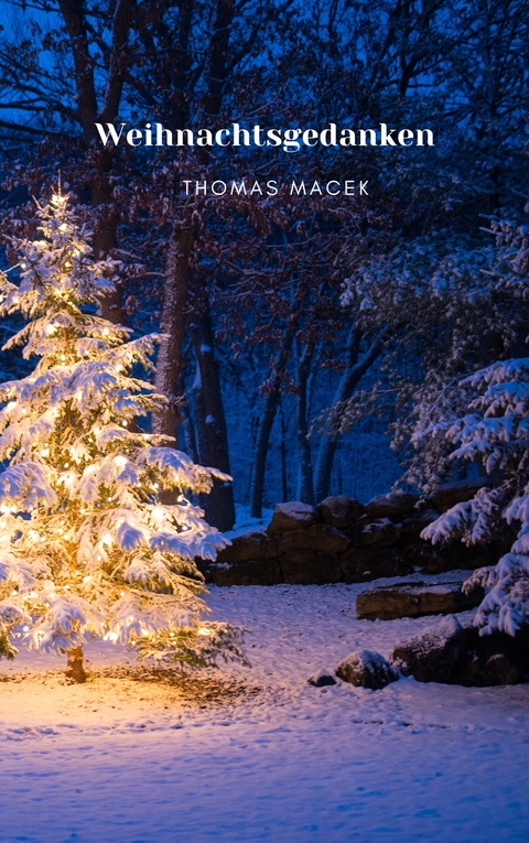 Weihnachtsgedanken - Thomas Macek