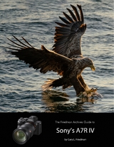 Friedman Archives Guide to Sony's A7R IV -  Gary L. Friedman