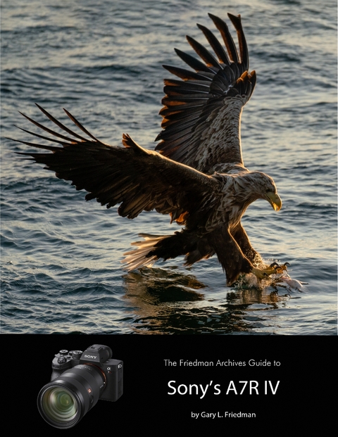 Friedman Archives Guide to Sony's A7R IV -  Gary L. Friedman