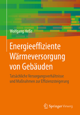 Energieeffiziente W&auml;rmeversorgung von Geb&auml;uden - Wolfgang He&szlig;e