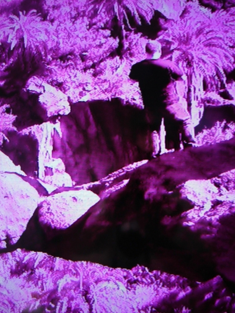 Verzweifelungsschrei vorm Abgrund - Rolf Spittel