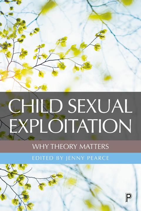 Child Sexual Exploitation: Why Theory Matters - 