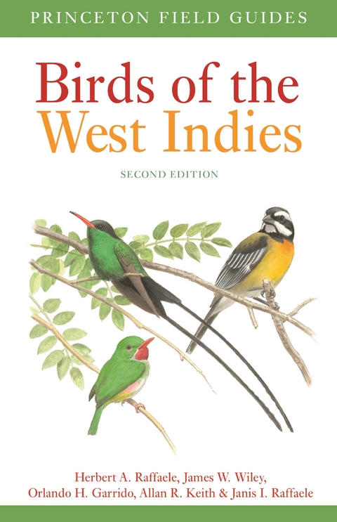 Birds of the West Indies Second Edition - Herbert A. Raffaele, James Wiley, Orlando H. Garrido, Allan Keith, Janis I. Raffaele