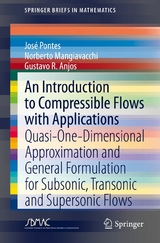 An Introduction to Compressible Flows with Applications - Jos&eacute; Pontes, Norberto Mangiavacchi, Gustavo R. Anjos