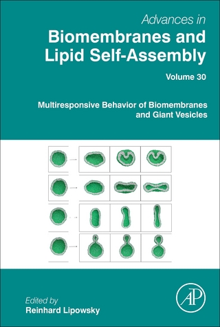 Multiresponsive Behavior of Biomembranes and Giant Vesicles