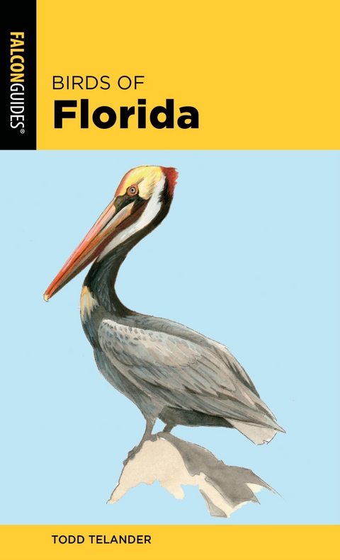Birds of Florida -  Todd Telander