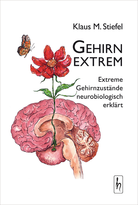 Gehirn extrem - Klaus M. Stiefel