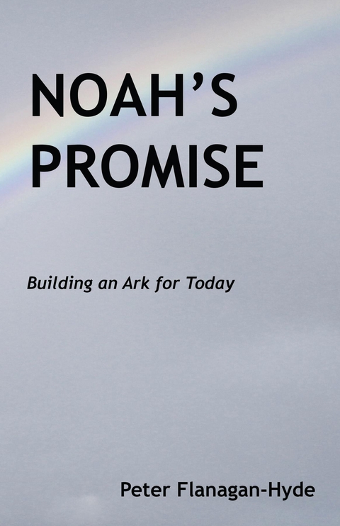 Noah's Promise - Peter Flanagan-Hyde