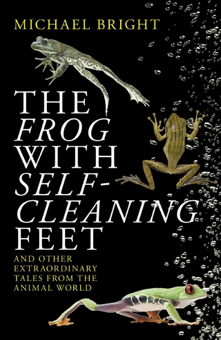 Frog with Self-Cleaning Feet