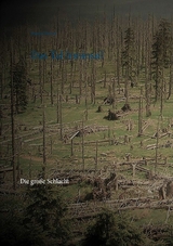 Das Tal Irminsul - Martin Welsch