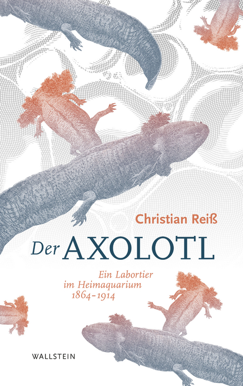 Der Axolotl -  Christian Rei&szlig;